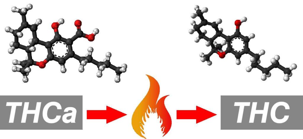 feco decarboxylation of THCa